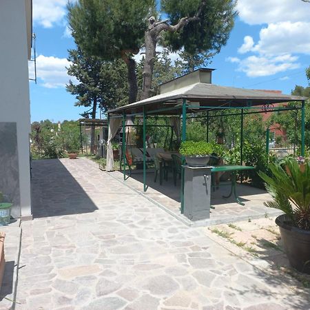 B&B 1898 - Villa Colonna Altamura Luaran gambar